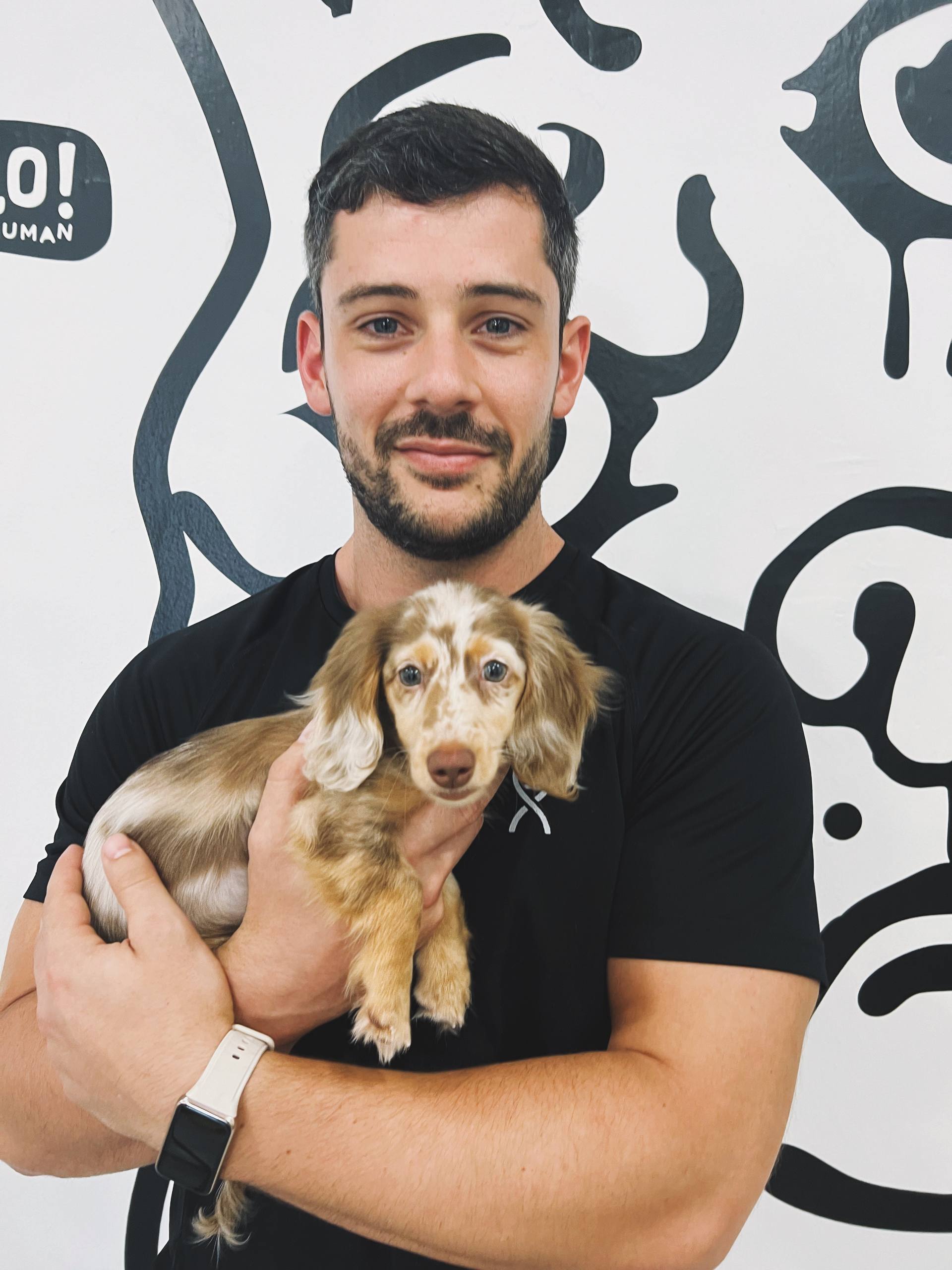 Hello Human puppies and kittens owner portrait 13